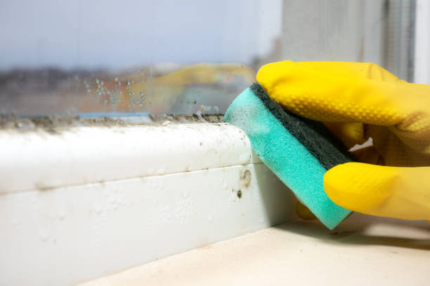 Best Mold Cleaning Services  in Mckee City, NJ