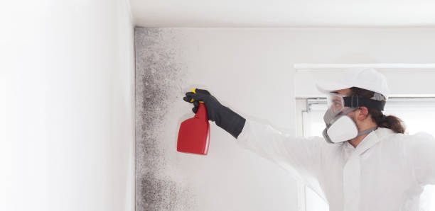 Best Emergency Mold Removal  in Mckee City, NJ
