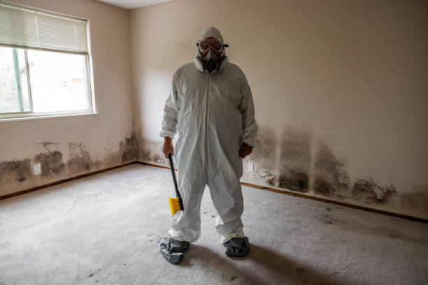 Best Crawl Space Mold Removal  in Mckee City, NJ